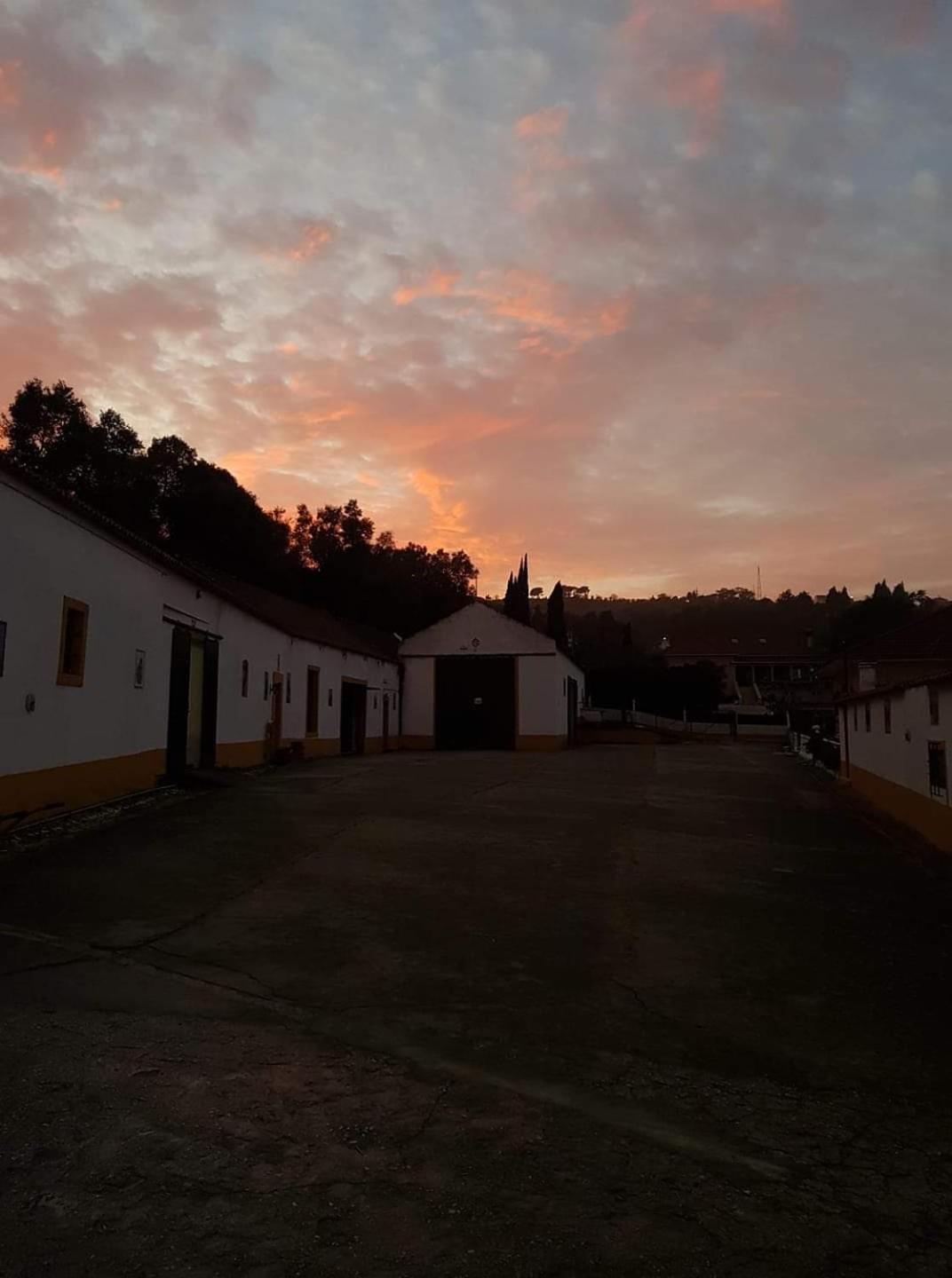 Horse Riding Country House Vila Franca de Xira Exterior photo