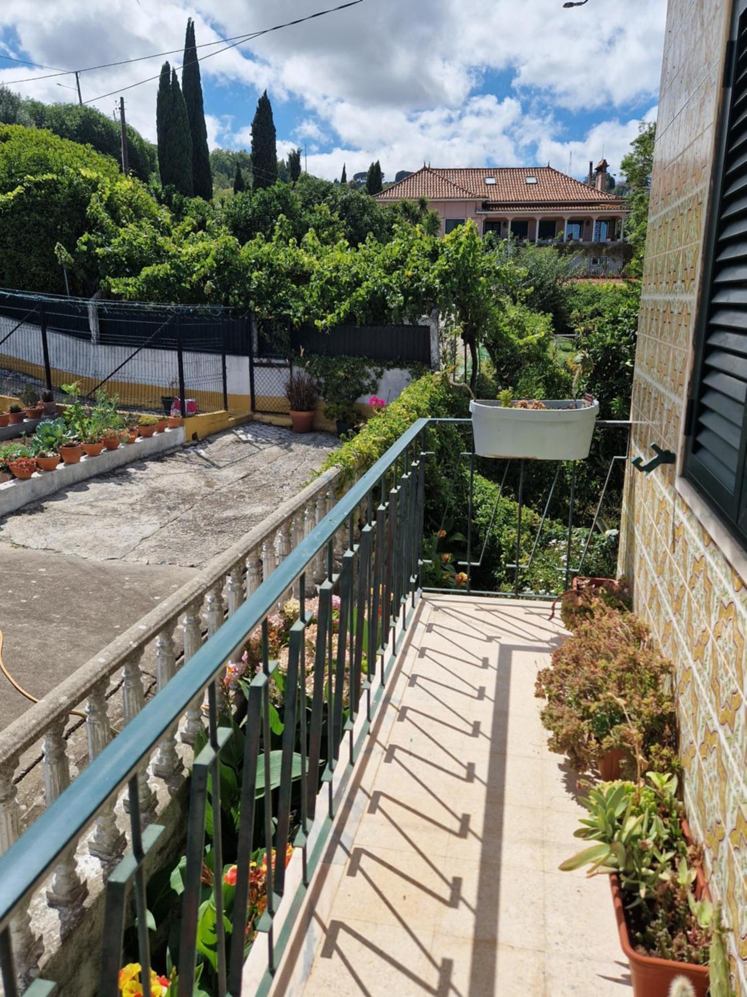 Horse Riding Country House Vila Franca de Xira Exterior photo